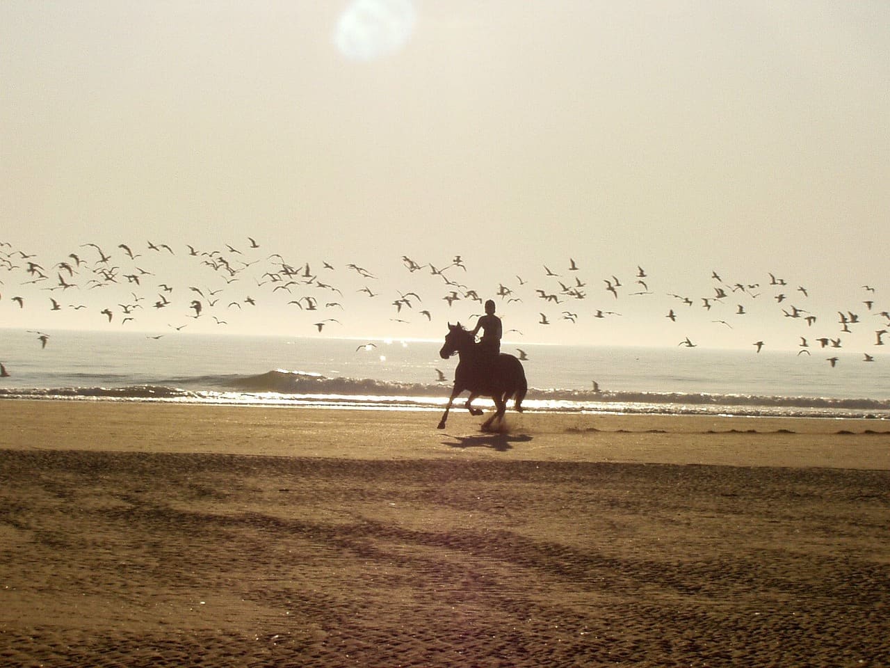 Horse riding in Mykonos