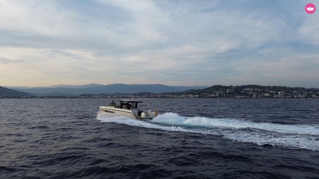 Tesoro T41 Power Cat 2